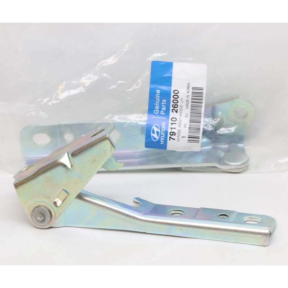 MENTEŞE KAPUT SOL SANTAFE 00-05