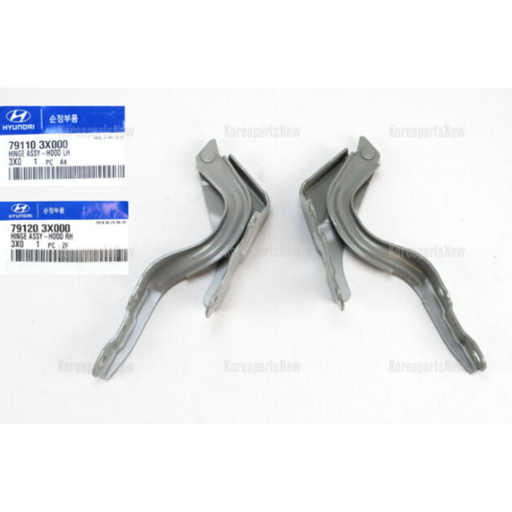 MENTEŞE KAPUT SOL ELENTRA 11-14