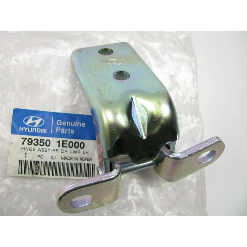 KAPI MENTEŞE ARKA KAPI ALT SOL ERA 06-11