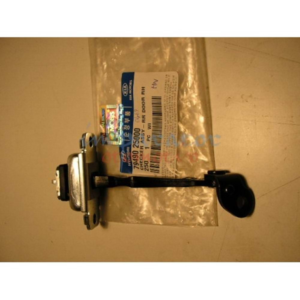 KAPI GERGİSİ ARKA SAĞ ACCENT 00-05