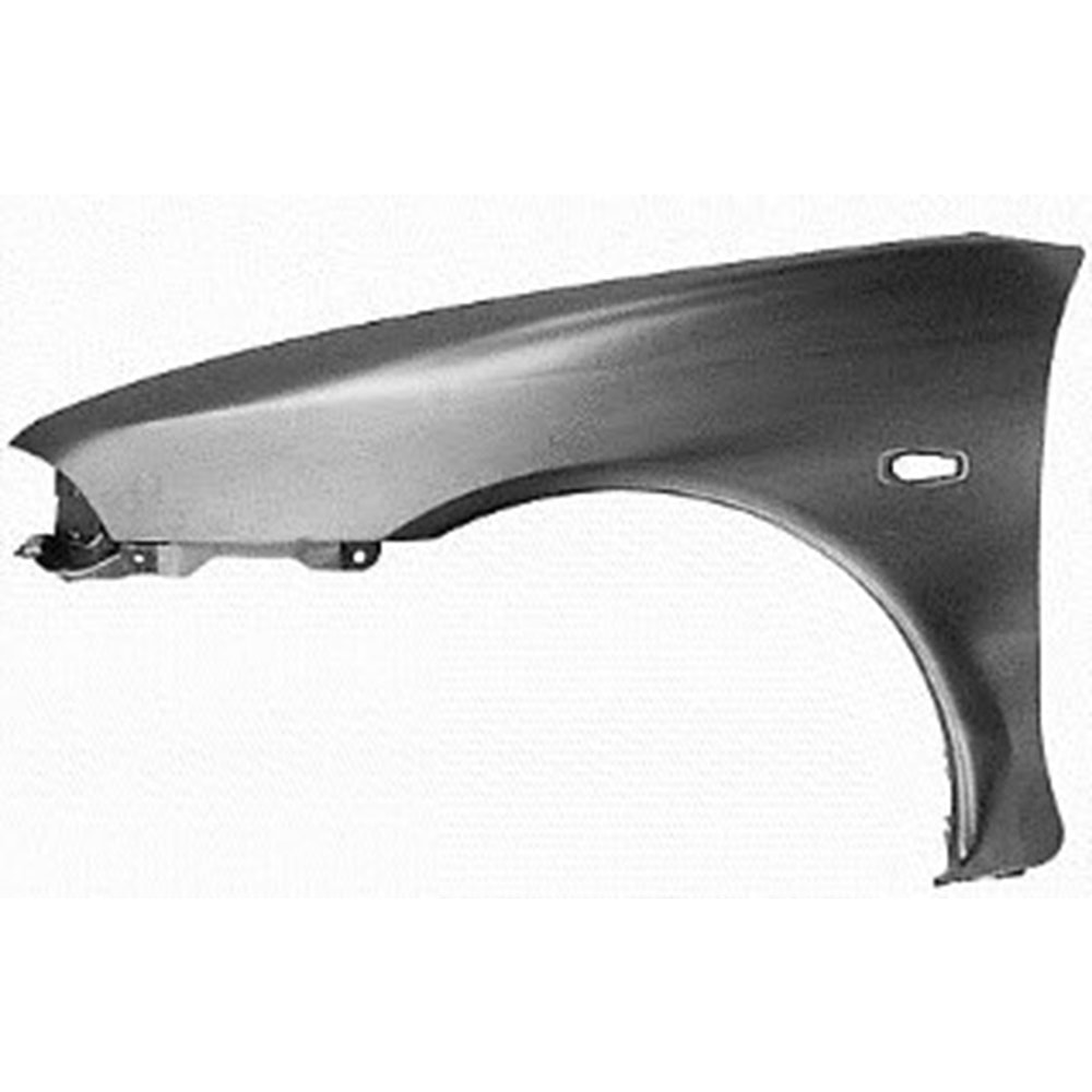 ÇAMURLUK ÖN LH CARİZMA 96-00